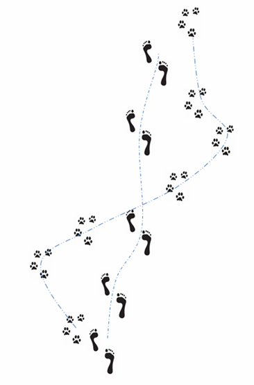 Dog and owner footprint